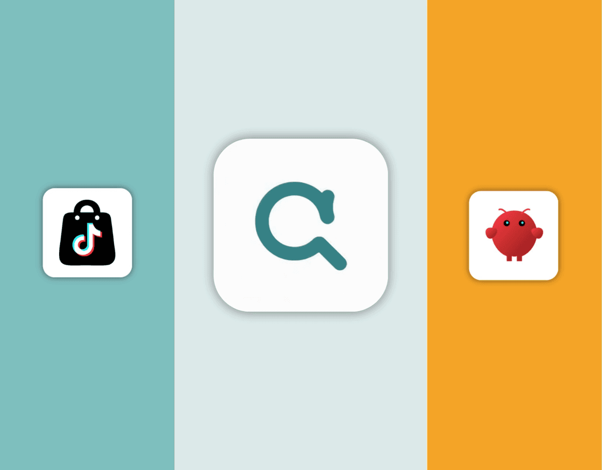 Connect TikTok Shop to OpenClaw demonstration