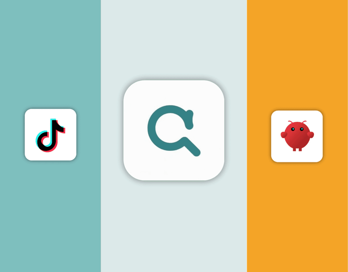 Connect TikTok Organic to OpenClaw demonstration